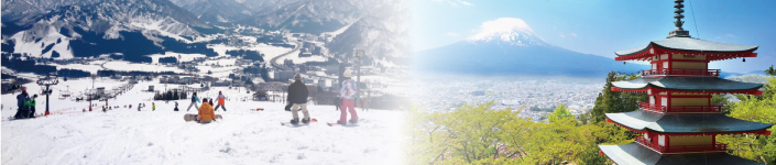 Tour Operator